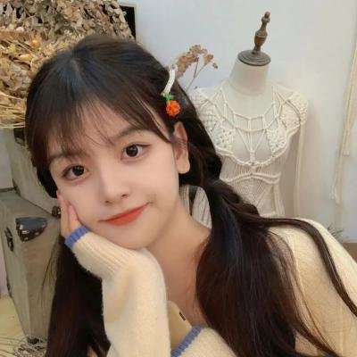 俏书记