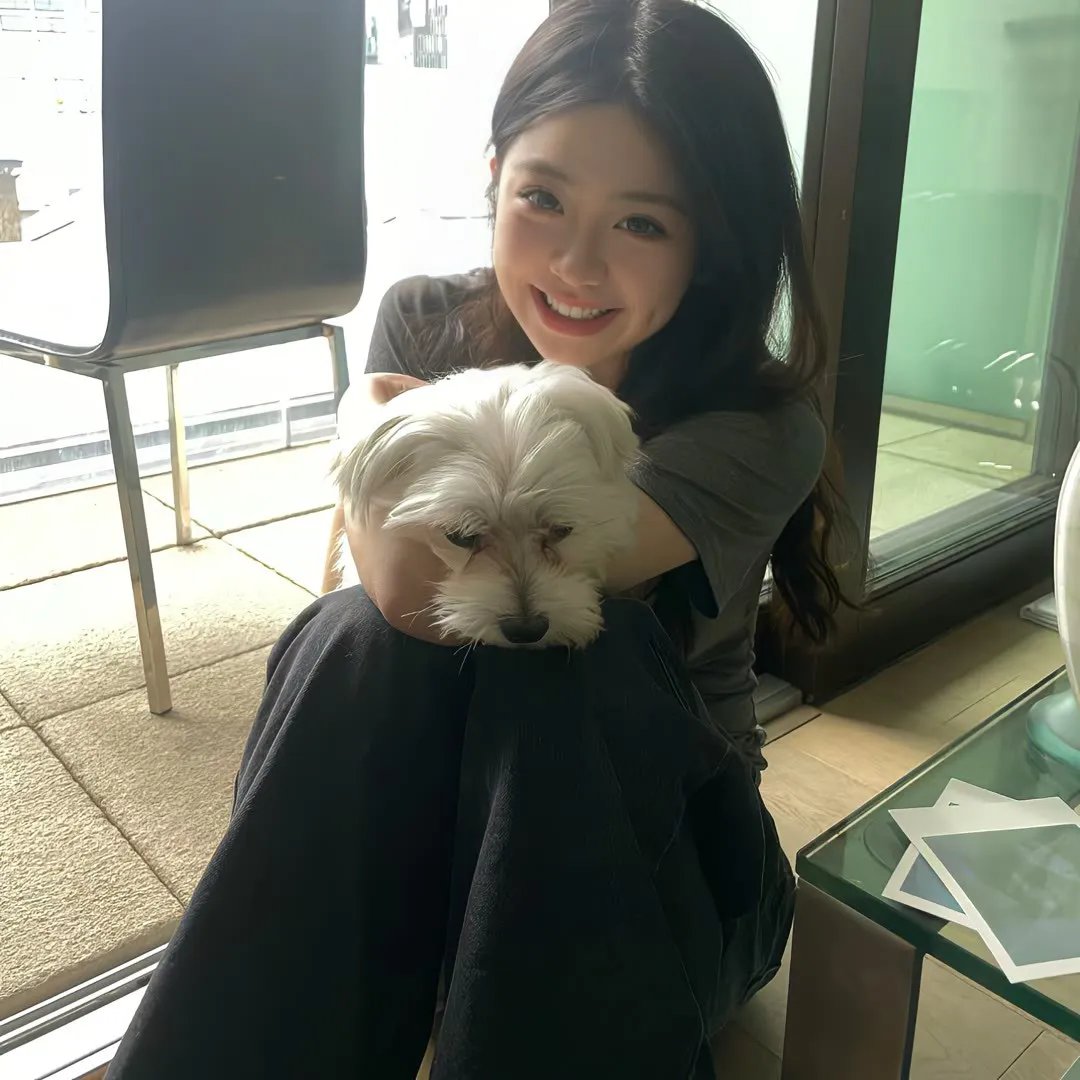 狗狗史酷比