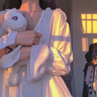 莉莉小姐的超完美日记